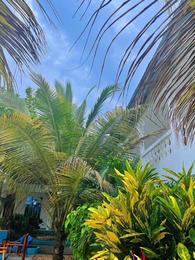 Кilimanjaro Nungwi Otel Dış mekan fotoğraf